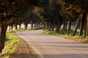 2009.04.08 - Soave (IT) - Treviso (IT)