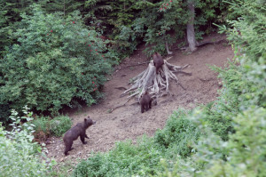 2009.07.18-22 - Campulung (RO) - Braşov (RO)